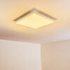Voisines Deckenpanel LED Weiß, 1-flammig, Fernbedienung, Farbwechsler