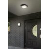 Trio HONDO Decken- Wandleuchte LED Anthrazit, 1-flammig