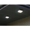 Trio HONDO Decken- Wandleuchte LED Anthrazit, 1-flammig
