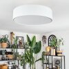 Foggia Deckenleuchte 50 cm Nickel-Matt, 3-flammig