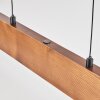 Fugelsta Pendelleuchte LED Schwarz, 1-flammig