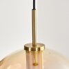 Koyoto Hängeleuchte Glas 30 cm Gold, Schwarz, 1-flammig