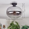 Apedo Deckenleuchte Glas 30 cm Klar, Rauchfarben, 1-flammig