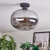 Apedo Deckenleuchte Glas 30 cm Rauchfarben, 1-flammig