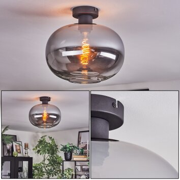 Apedo Deckenleuchte Glas 30 cm Rauchfarben, 1-flammig