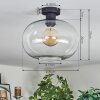 Apedo Deckenleuchte Glas 30 cm Klar, 1-flammig