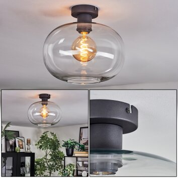 Apedo Deckenleuchte Glas 30 cm Klar, 1-flammig