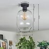 Apedo Deckenleuchte Glas 20 cm Klar, 1-flammig