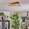 Pompu Deckenleuchte LED Naturfarben, Schwarz, 1-flammig