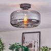 Boza Deckenleuchte Glas 28 cm Rauchfarben, 1-flammig Boza Deckenleuchte Glas 28 cm Rauchfarben, 1-flammig