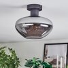 Mertola Deckenleuchte Glas 25 cm Rauchfarben, 1-flammig