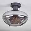 Mertola Deckenleuchte Glas 25 cm Rauchfarben, 1-flammig