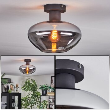 Mertola Deckenleuchte Glas 25 cm Rauchfarben, 1-flammig