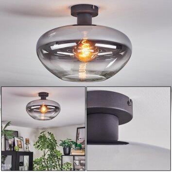 Mertola Deckenleuchte Glas 35 cm Klar, Rauchfarben, 1-flammig
