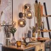 Gastor Wandleuchte Glas 15 cm Gold, Schwarz, 3-flammig