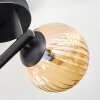 Chehalis Deckenleuchte Glas 12 cm Bernsteinfarben, Rauchfarben, 3-flammig