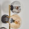 Gastor Wandleuchte Glas 15 cm Gold, Schwarz, 3-flammig