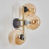 Gastor Wandleuchte Glas 15 cm Gold, Schwarz, 3-flammig