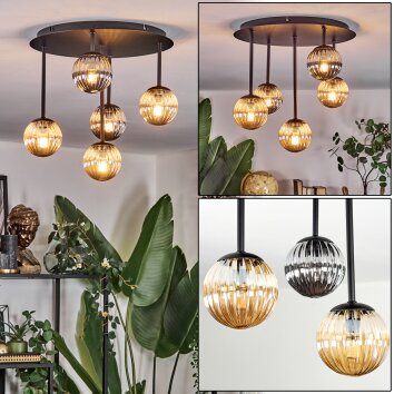 Chehalis Deckenleuchte Glas 10 cm Bernsteinfarben, Rauchfarben, 5-flammig Chehalis Deckenleuchte Glas 10 cm Bernsteinfarben, Rauchfarben, 5-flammig