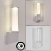 Isara Außenwandleuchte LED Weiß, 1-flammig