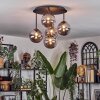 Chehalis Deckenleuchte Glas 15 cm Rauchfarben, 5-flammig