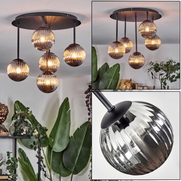 Chehalis Deckenleuchte Glas 12 cm Rauchfarben, 5-flammig Chehalis Deckenleuchte Glas 12 cm Rauchfarben, 5-flammig