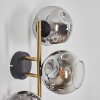 Ripoll Wandleuchte Glas 15 cm Gold, Schwarz, 3-flammig