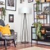 Soungou Stehleuchte 38 cm Schwarz, 1-flammig