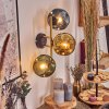 Ripoll Wandleuchte Glas 15 cm Gold, Schwarz, 3-flammig