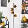 Ripoll Stehleuchte Glas 15 cm Gold, Klar, 4-flammig