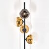 Ripoll Stehleuchte Glas 15 cm Gold, Klar, 4-flammig
