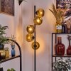 Ripoll Stehleuchte Glas 15 cm Gold, 5-flammig