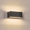 Lanor Außenwandleuchte LED Schwarz, 1-flammig