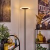 Byrum Stehleuchte LED Schwarz, 1-flammig, Farbwechsler