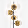 Ripoll Stehleuchte Glas 15 cm Gold, 4-flammig