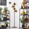 Ripoll Stehleuchte Glas 15 cm Gold, 4-flammig
