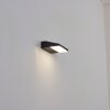 Xaden Außenwandleuchte LED Schwarz, 1-flammig