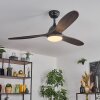 Mosstena Deckenventilator mit Beleuchtung LED Holz dunkel, Schwarz, 1-flammig, Fernbedienung