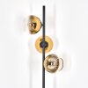 Koyoto Stehleuchte Glas 15 cm Gold, Klar, 3-flammig