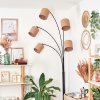 Soungou Stehleuchte 15 cm Schwarz, 5-flammig