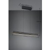 Trio Emerson Pendelleuchte LED Schwarz, 1-flammig