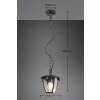 Trio VENTA Pendelleuchte Schwarz, 1-flammig