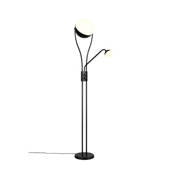 Trio Chris Stehlampe LED Schwarz, 2-flammig