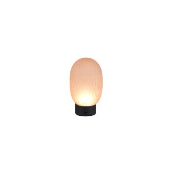 Trio Facette Tischleuchte LED Braun, Gold, 1-flammig