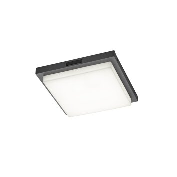 Trio BERMEJO Deckenleuchte LED Anthrazit, 1-flammig, Bewegungsmelder