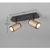 Trio Gillan Deckenspot Braun, 2-flammig