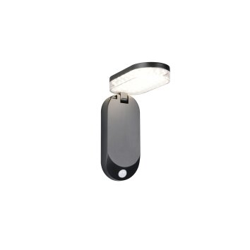 Reality LAGOAS Wandleuchte LED Schwarz, 1-flammig, Bewegungsmelder