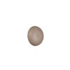 Reality Davey Wandleuchte LED Beige, 1-flammig