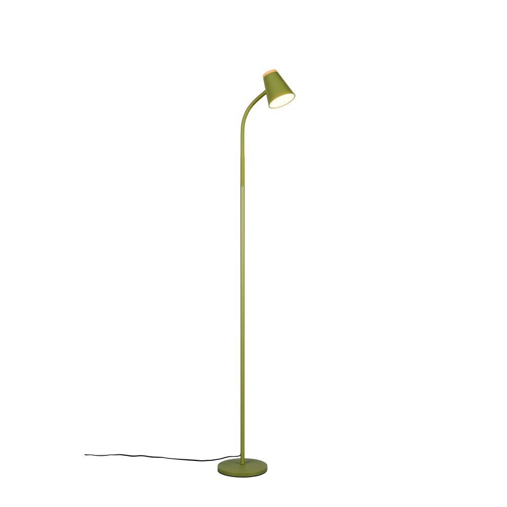 Reality Pongo Stehlampe LED Grün, 1-flammig main product photo