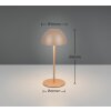 Reality Ortiz Tischleuchte LED Braun, 1-flammig